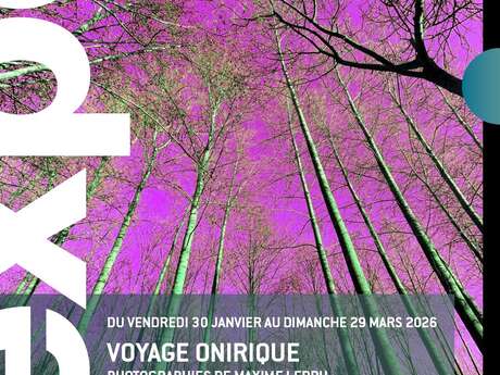 Exposition photographique de Maxime Ledru "Voyage onirique"