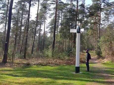 Randonnée historique en forêt de Chantilly