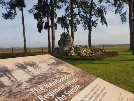 Le mémorial terre-neuvien de Gueudecourt