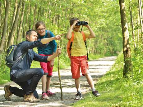 Observation des oiseaux du bois des Cinq Tailles et exposition photos