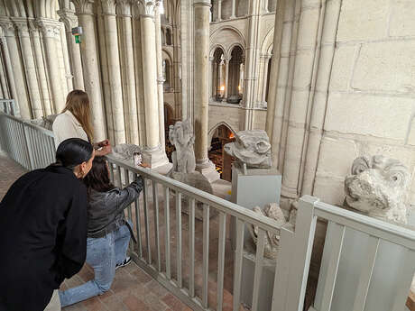 Visite guidée des hauteurs de la cathédrale à Laon