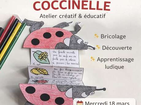 Atelier enfants au Musée des papillons : Une vie de coccinelle