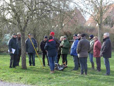 Stage de taille des arbres fruitiers au Musée de la vie rurale