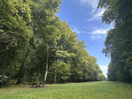 Forêt Domaniale de Crécy