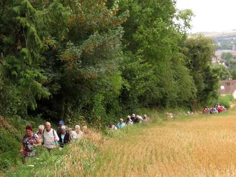 Calendrier de randonnées du premier trimestre de Marche et Découverte de l'Hesdinois