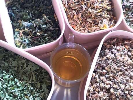 Atelier historique: "Soins pendant la guerre" avec Chuchotements de fleurs