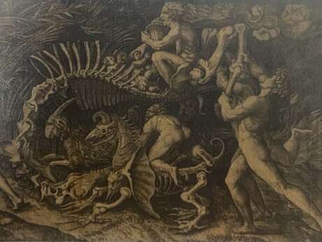 Conférence "Sorcières" par Edith Marcq