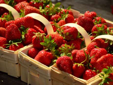 Inauguration Les Fraises de Cuigy