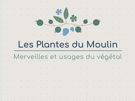 Les Plantes du Moulin