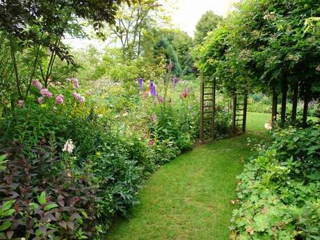 Jardin des lianes