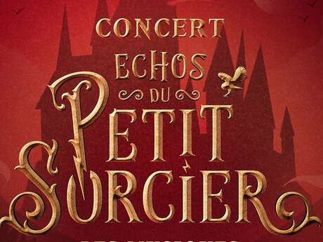 Concert à Laon : "Échos du petit sorcier"
