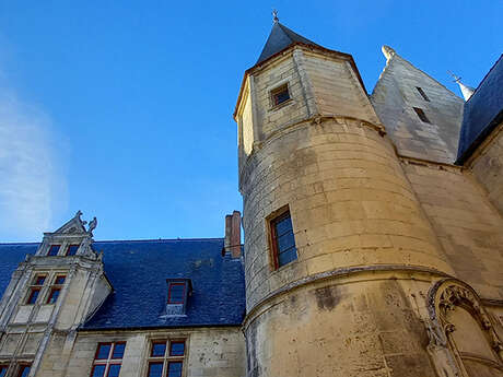 Hôtel du Petit Saint-Vincent