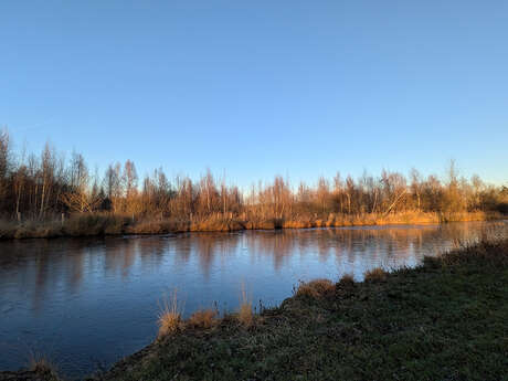 Sortie nature à Liesse-Notre-Dame : "Monde de la nuit"