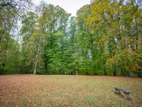 Forêt domaniale de Hez-Froidmont