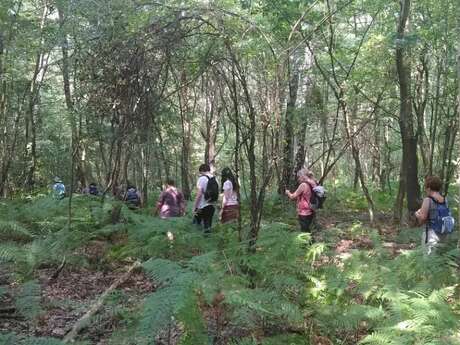 Sortie Nature - Le Bois des Coutumes en chantier