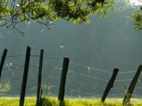 A la découverte du courtil de Gueschart