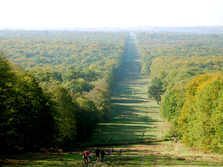 Festival des Forêts I Visite de la réserve biologique des Beaux-Monts & aubade