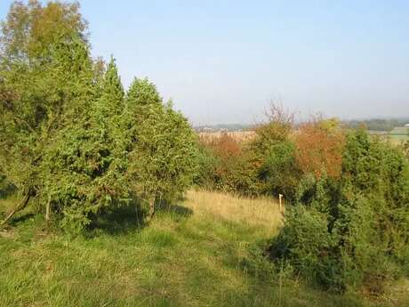 Fêtons la Nature des Hauts-de-France aux larris !