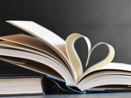 Salon du livre du Pavillon de Vauclair