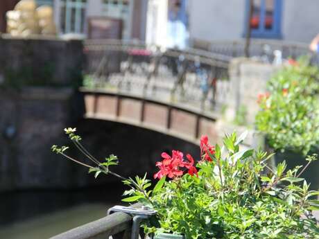 Quartier Saint-Leu d'Amiens