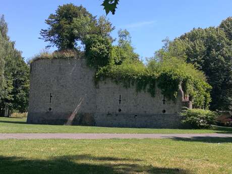 Tour des Dames