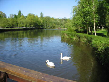 Visite guidée: "Le parc écologique de Senlis, la nature en partage"