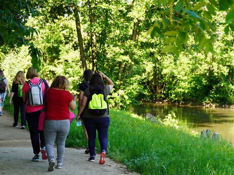 Berges du Thérain à Montataire