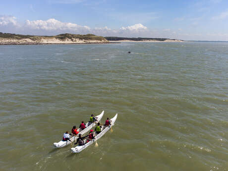 Balade en pirogue ou kayak à la rencontre des phoques Balade en pirogue ou kayak à la rencontre des phoques