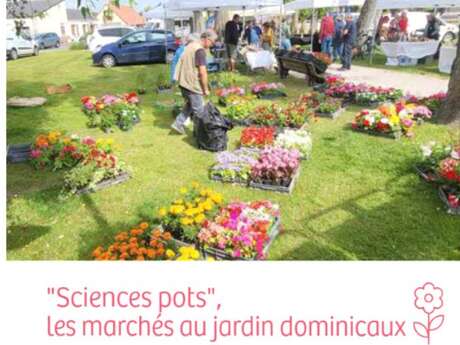 Sciences pots spécial "livres au jardin"
