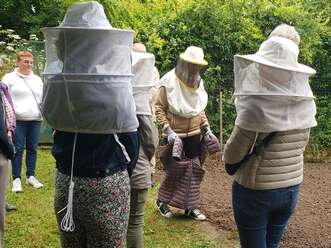A la rencontre des abeilles