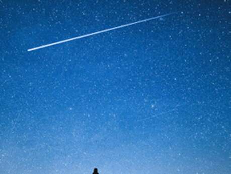 Rencontres poétiques