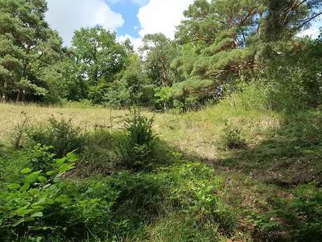 Roberval et sa belle pelouse !