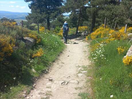 Sur le chemin avec Betty : marchez à votre rythme et profitez de pauses de sophrologie pour respirer, vous détendre et vous reconnecter à la nature.