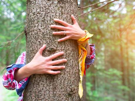 Sylvothérapie : bain de forêt avec les éléments