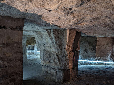 Visite nocturne à Laon : "Le patrimoine... à la torche !"