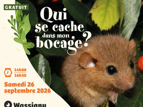 Sortie nature "A la découverte du Muscardin, le « Rat d’or » du bocage"