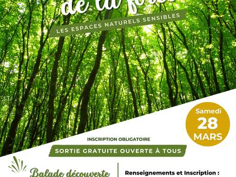 Sortie nature "à la découverte des espaces naturels sensibles" : la forêt