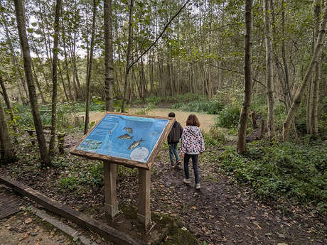 Chantier nature à Neuville-sur-Ailette : "Un chantier pour la biodiversité !"