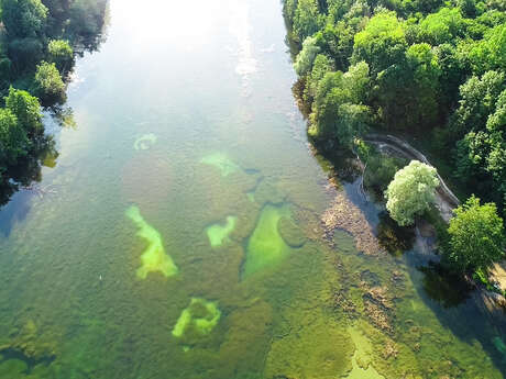 Marais de Chantraine