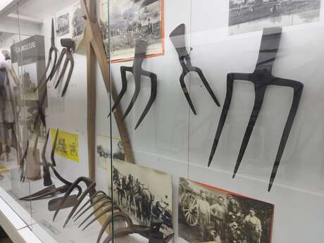 Musée des Arts et Traditions populaires