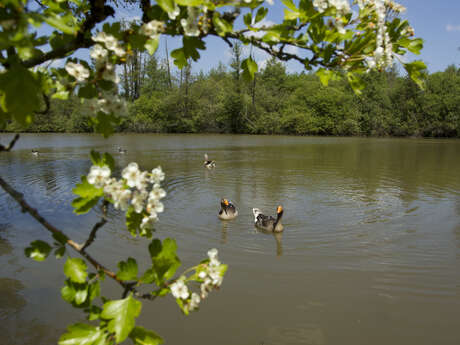 Randonnée à Saint-Pierre-ès-Champs