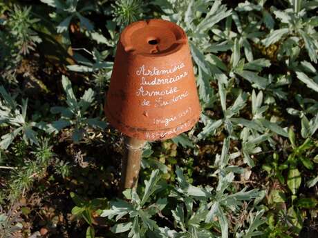 Jardins de la Baie de Somme : Herbarium, Fruticetum, Rues Fleuries