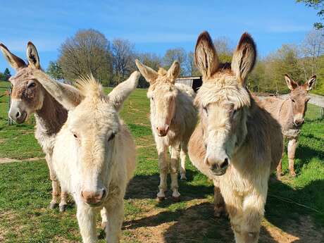 Journée découverte et atelier à la savonnerie La Salamandre
