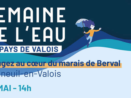 Plongez au cœur du marais du Berval 💧