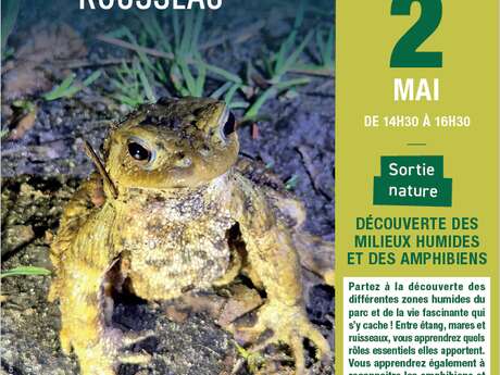 [Sortie nature] Découverte des milieux humides et des amphibiens 🐸