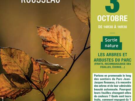 [Sortie nature] Les arbres et les arbustes du parc 🌳