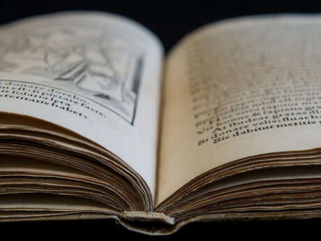 Présentation des collections patrimoniales à Valenciennes