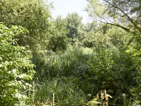 Jardin du naturaliste