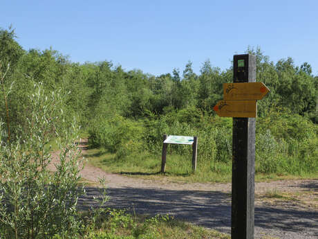 Le Terril Sainte-Marie