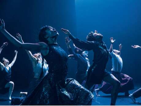 Danse : Theatre Of Dreams